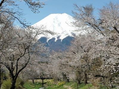 Pension Sumomo No Ki Oshino Экстерьер фото